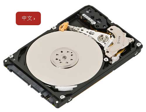 Professional Data Recovery